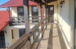 Proprietate deosebită cu teren generos, livadă pe rod și viță-de-vie 