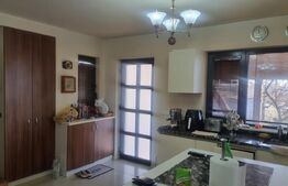 Proprietate deosebită cu teren generos, livadă pe rod și viță-de-vie 