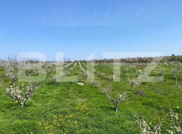 Casa de vânzare 10 camere Cioranii de Jos - 185582CV | BLITZ Ploieşti | Poza13