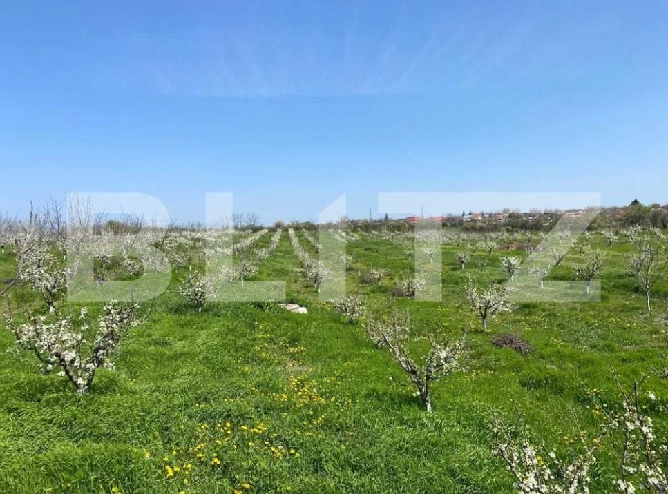 Casa de vânzare 10 camere Cioranii de Jos - 185582CV | BLITZ Ploieşti | Poza13