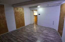 Spațiu comercial, 100 mp + curte 150 mp, zona Ultracentral