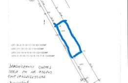 Teren de vânzare Lipanesti - 188639TV | BLITZ Ploieşti | Poza4