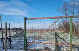 PROPRIETATE AGRICOLĂ PREMIUM – 5 HECTARE CU LIVADĂ DE NUCI (CHANDLER & FERNETTE)
