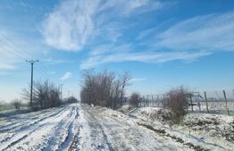 Teren cu livada Nuci- Oportunitate investitie- CioraniPh