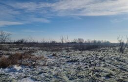 PROPRIETATE AGRICOLĂ PREMIUM – 5 HECTARE CU LIVADĂ DE NUCI (CHANDLER & FERNETTE)