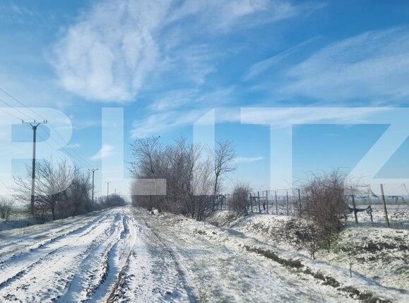 Teren de vânzare Cioranii de Jos - 185896TV | BLITZ Ploieşti | Poza8