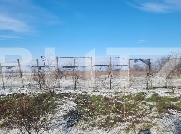 Teren de vânzare Cioranii de Jos - 185896TV | BLITZ Ploieşti | Poza6