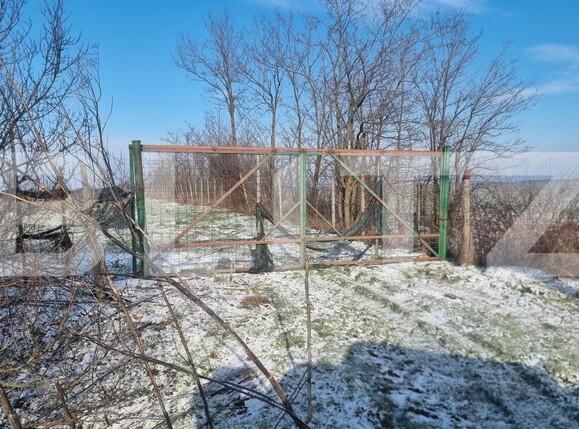 Teren de vânzare Cioranii de Jos - 185896TV | BLITZ Ploieşti | Poza7