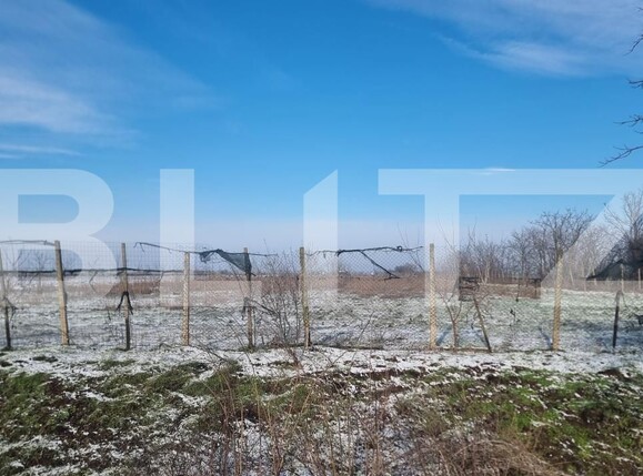 Teren de vânzare Cioranii de Jos - 185896TV | BLITZ Ploieşti | Poza5