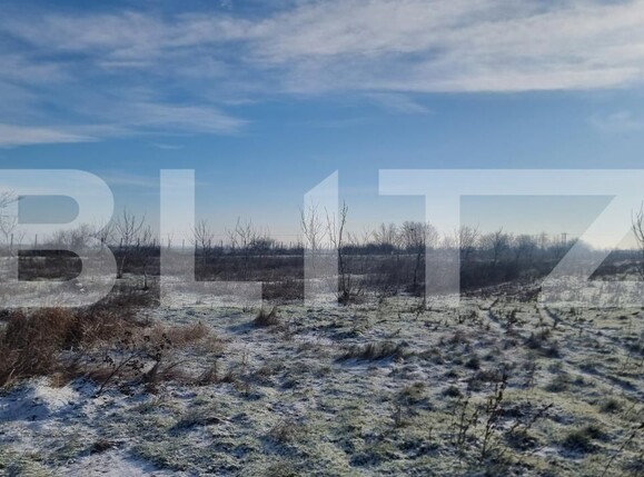 Teren de vânzare Cioranii de Jos - 185896TV | BLITZ Ploieşti | Poza3