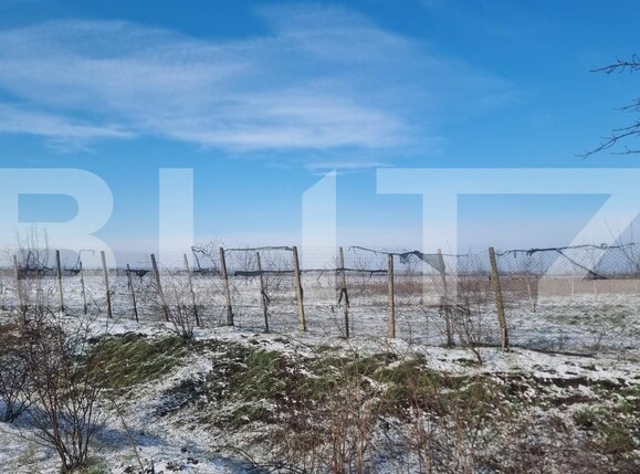 Teren de vânzare Cioranii de Jos - 185896TV | BLITZ Ploieşti | Poza2