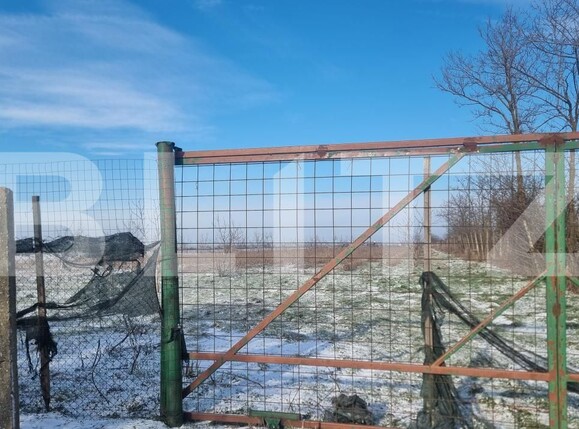 Teren de vânzare Cioranii de Jos - 185896TV | BLITZ Ploieşti | Poza1