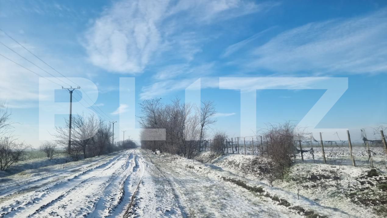 Teren de vânzare Cioranii de Jos - 185896TV | BLITZ Ploieşti | Poza8