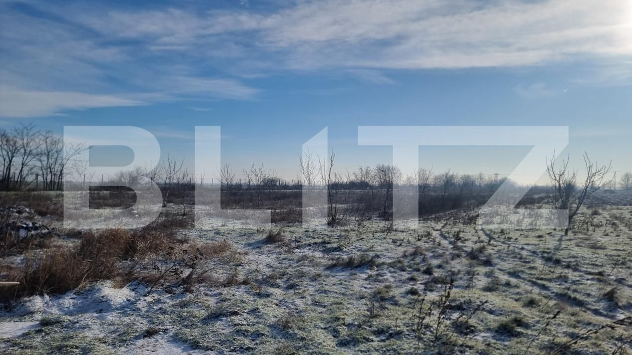 Teren de vânzare Cioranii de Jos - 185896TV | BLITZ Ploieşti | Poza3