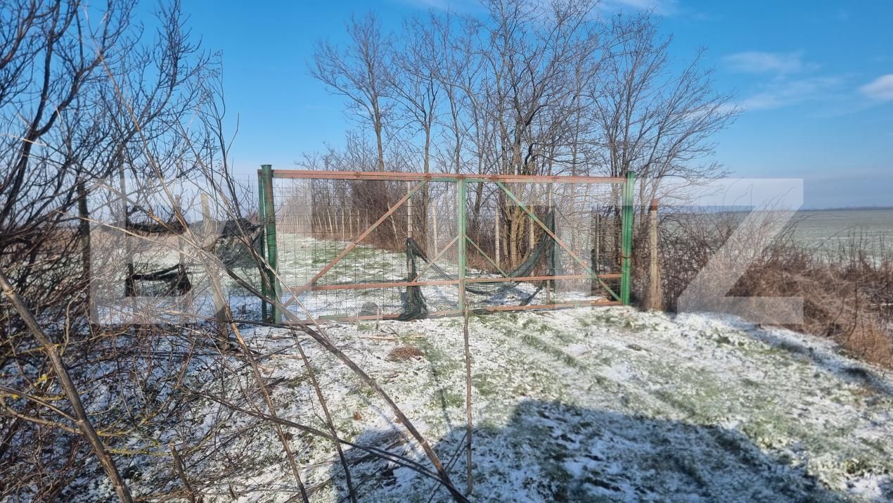 Teren de vânzare Cioranii de Jos - 185896TV | BLITZ Ploieşti | Poza7