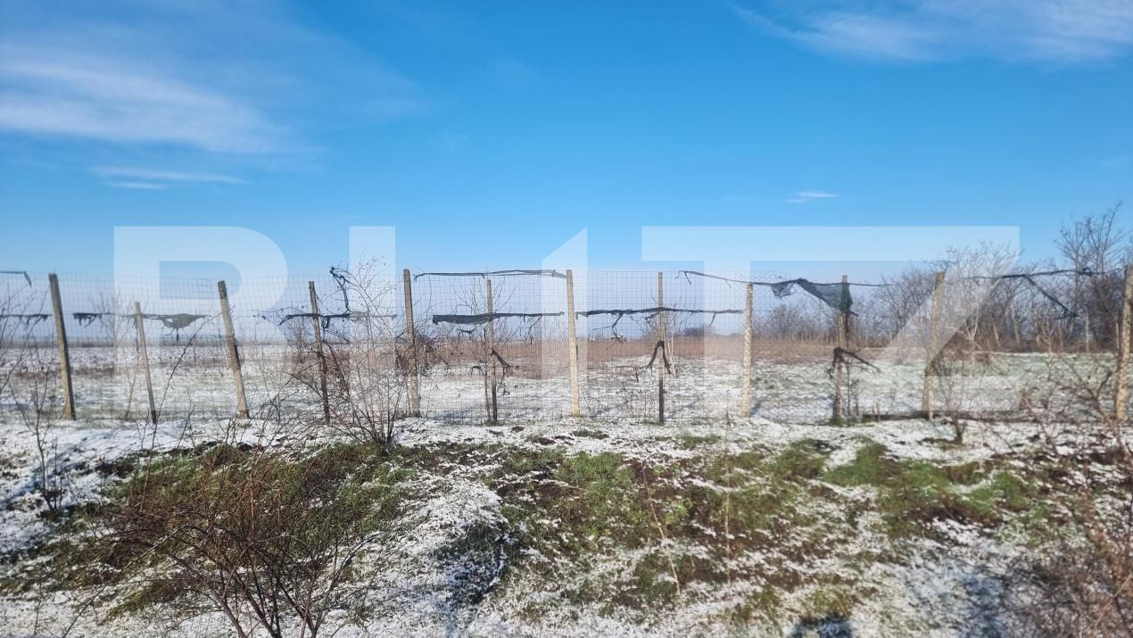 Teren de vânzare Cioranii de Jos - 185896TV | BLITZ Ploieşti | Poza6