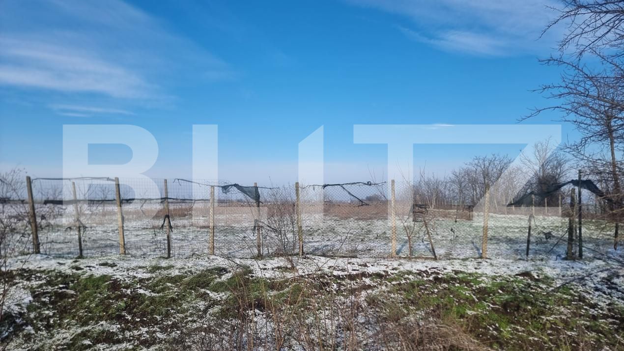 Teren de vânzare Cioranii de Jos - 185896TV | BLITZ Ploieşti | Poza5