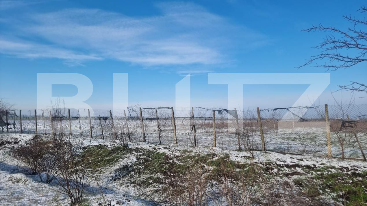 Teren de vânzare Cioranii de Jos - 185896TV | BLITZ Ploieşti | Poza2