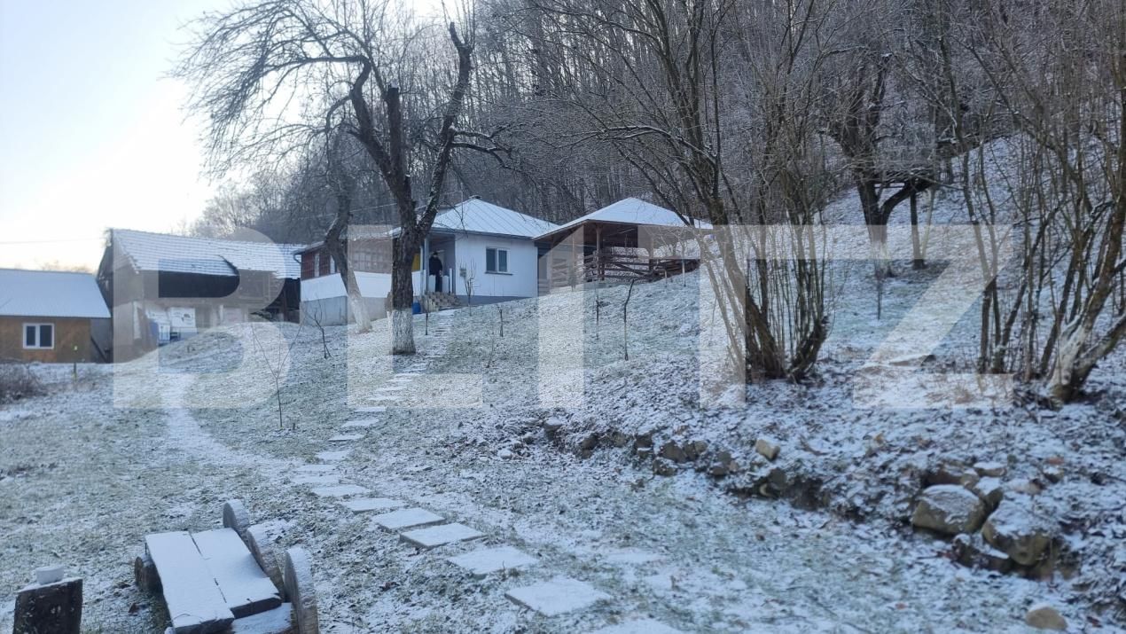 Casa de vânzare 2 camere Cosminele - 185974CV | BLITZ Ploieşti | Poza14