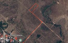 Teren, intravilan Baicoi, Tufeni. 