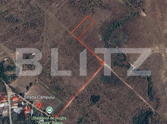 Teren de vânzare Baicoi - 186053TV | BLITZ Ploieşti | Poza2