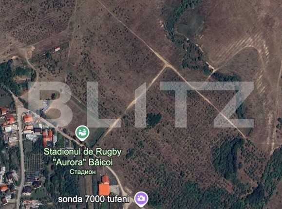 Teren de vânzare Baicoi - 186053TV | BLITZ Ploieşti | Poza1