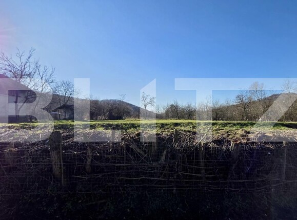 Teren de vânzare Gura Vitioarei - 186201TV | BLITZ Ploieşti | Poza4