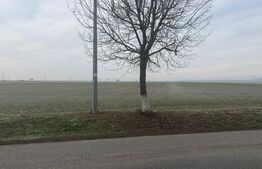 Tren, 5000 mp, DJ 215 