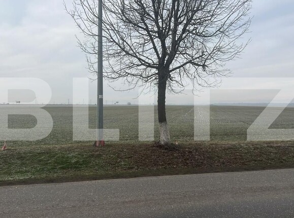 Teren de vânzare Baicoi - 186221TV | BLITZ Ploieşti | Poza2