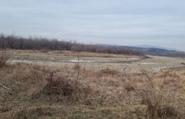 TEREN,extravilan,14 HA ,LIPANESTI PH