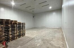 Depozit de închiriat – 3 spații a câte 520 mp | Acces TIR | Ideal logistică