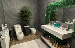 Proprietate mixtă, 350 mp, zona Mihai Bravu