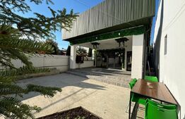 Proprietate mixtă, 350 mp, zona Mihai Bravu