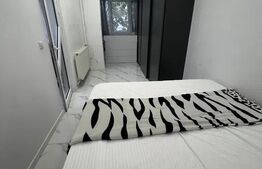 Apartament 2 camere, 55 mp, Malu Roșu, luminos  Modern - Blitz Imobiliare