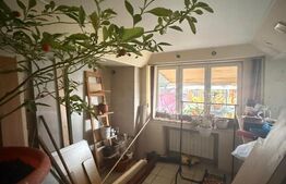 Casa spatioasa de inchiriat, 259 mp, zona Bereasca