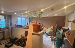 Casa spatioasa de inchiriat, 259 mp, zona Bereasca