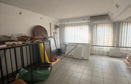 Casa spatioasa de inchiriat, 259 mp, zona Bereasca