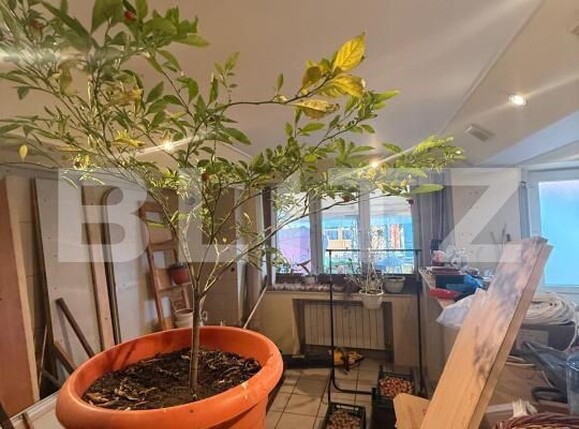 Casa de închiriat 6 camere Bereasca - 186806CI | BLITZ Ploieşti | Poza13