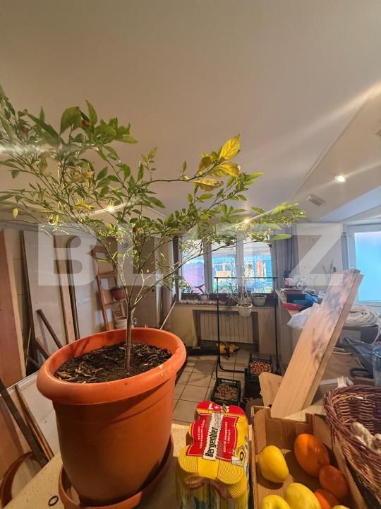 Casa de închiriat 6 camere Bereasca - 186806CI | BLITZ Ploieşti | Poza13