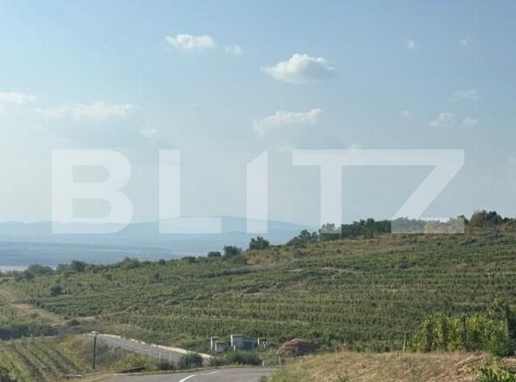 Teren de vânzare Seciu - 186907TV | BLITZ Ploieşti | Poza6