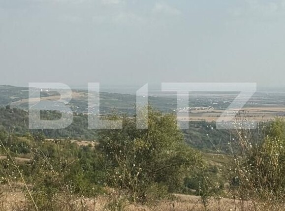 Teren de vânzare Seciu - 186907TV | BLITZ Ploieşti | Poza2