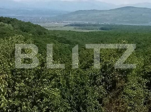 Teren de vânzare Seciu - 186907TV | BLITZ Ploieşti | Poza5