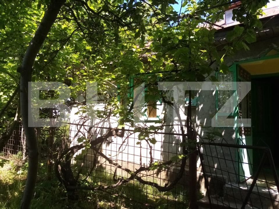 Teren de vânzare Seciu - 186907TV | BLITZ Ploieşti | Poza8