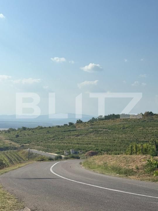 Teren de vânzare Seciu - 186907TV | BLITZ Ploieşti | Poza7