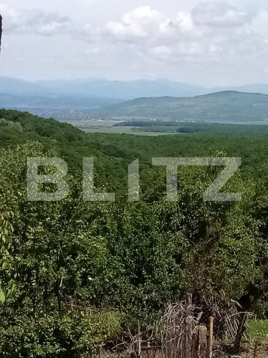 Teren de vânzare Seciu - 186907TV | BLITZ Ploieşti | Poza5