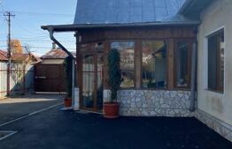 Proprietate 2 case, 223 mp, teren 1.676 mp, zona Lupeni