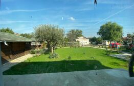 Proprietate 2 case, 223 mp, teren 1.676 mp, zona Lupeni