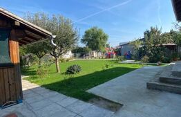 Proprietate 2 case, 223 mp, teren 1.676 mp, zona Lupeni