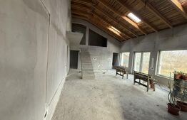 Proprietate 2 case, 223 mp, teren 1.676 mp, zona Lupeni