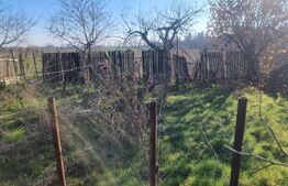 CASA +teren NEGOIESTI-PH